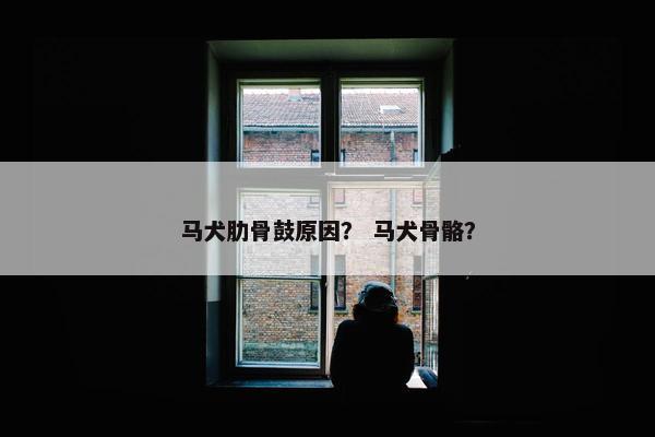 马犬肋骨鼓原因？ 马犬骨骼？