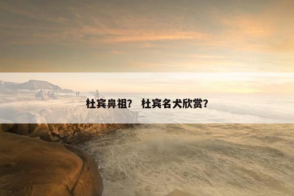 杜宾鼻祖？ 杜宾名犬欣赏？