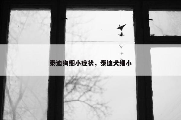 泰迪狗细小症状，泰迪犬细小