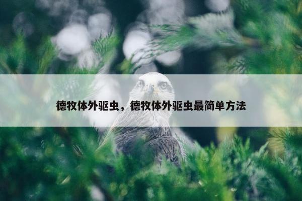 德牧体外驱虫，德牧体外驱虫最简单方法
