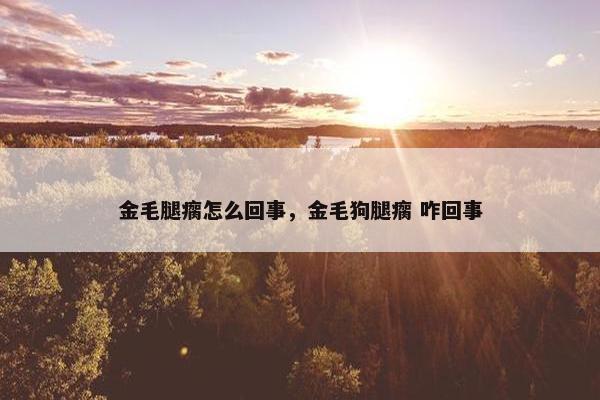 金毛腿瘸怎么回事，金毛狗腿瘸 咋回事