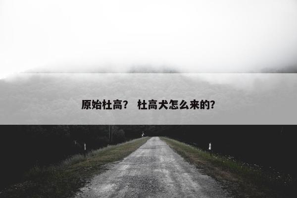 原始杜高？ 杜高犬怎么来的？