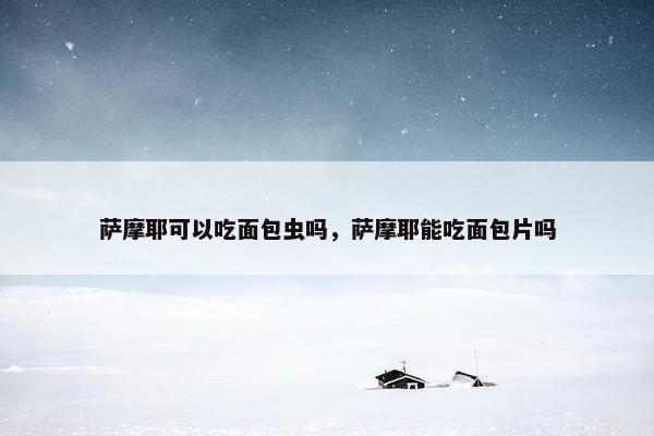 萨摩耶可以吃面包虫吗，萨摩耶能吃面包片吗