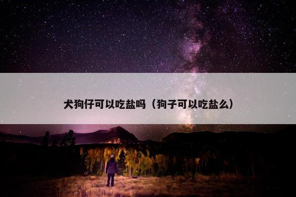 犬狗仔可以吃盐吗（狗子可以吃盐么）