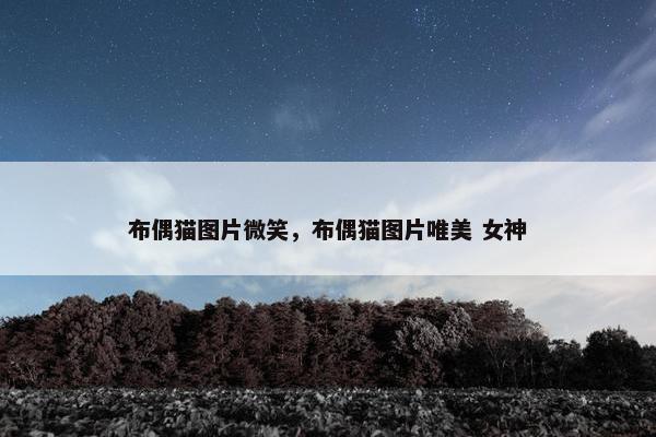 布偶猫图片微笑，布偶猫图片唯美 女神