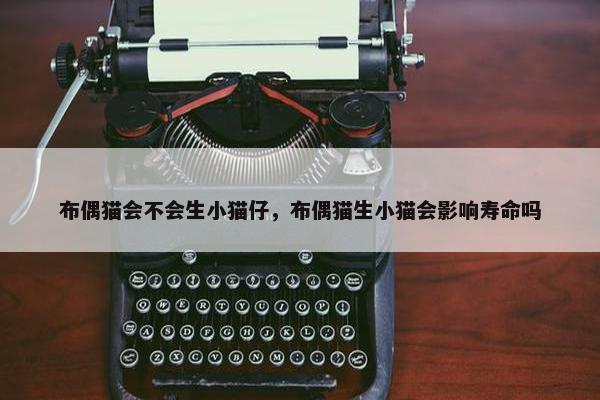 布偶猫会不会生小猫仔，布偶猫生小猫会影响寿命吗