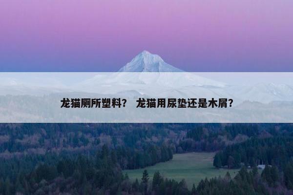 龙猫厕所塑料？ 龙猫用尿垫还是木屑？