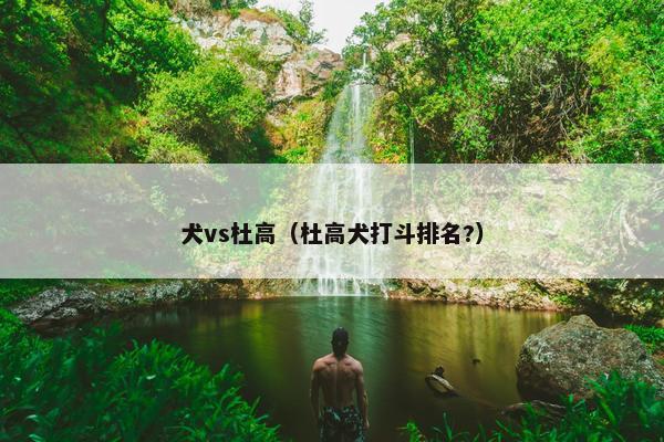 犬vs杜高（杜高犬打斗排名?）