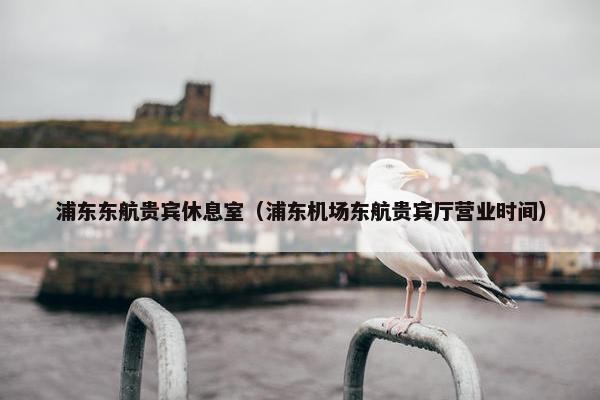 浦东东航贵宾休息室（浦东机场东航贵宾厅营业时间）