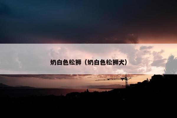 奶白色松狮（奶白色松狮犬）