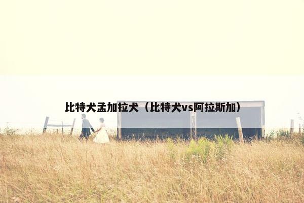 比特犬孟加拉犬（比特犬vs阿拉斯加）