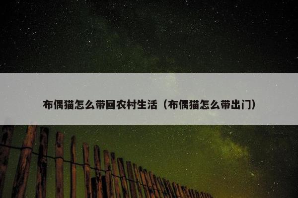 布偶猫怎么带回农村生活（布偶猫怎么带出门）