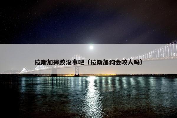 拉斯加摔跤没事吧（拉斯加狗会咬人吗）