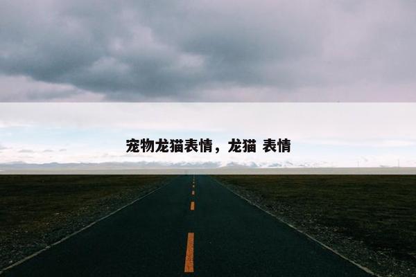 宠物龙猫表情，龙猫 表情