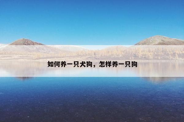 如何养一只犬狗，怎样养一只狗
