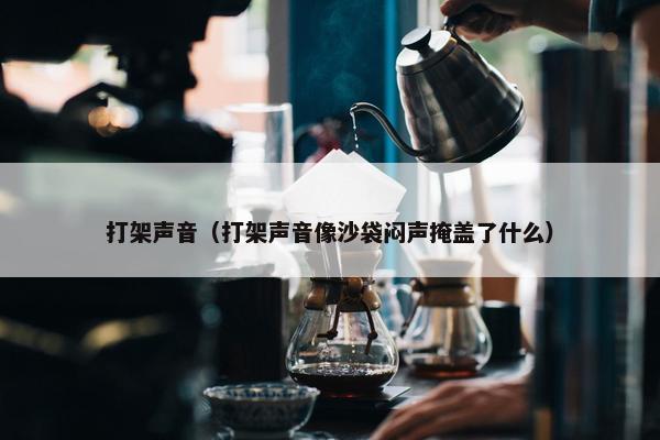 打架声音（打架声音像沙袋闷声掩盖了什么）