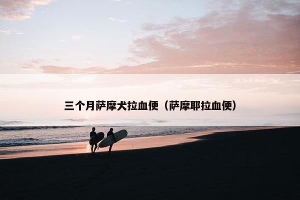 三个月萨摩犬拉血便（萨摩耶拉血便）