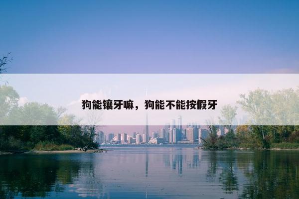 狗能镶牙嘛，狗能不能按假牙