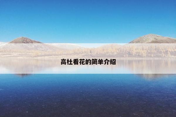高杜看花的简单介绍