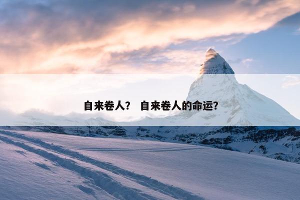 自来卷人？ 自来卷人的命运？
