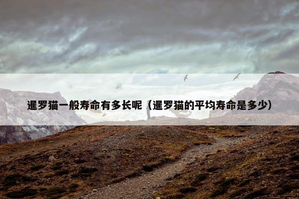 暹罗猫一般寿命有多长呢（暹罗猫的平均寿命是多少）
