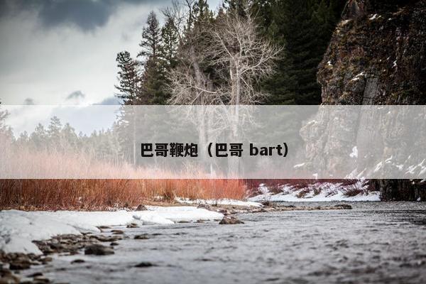 巴哥鞭炮（巴哥 bart）