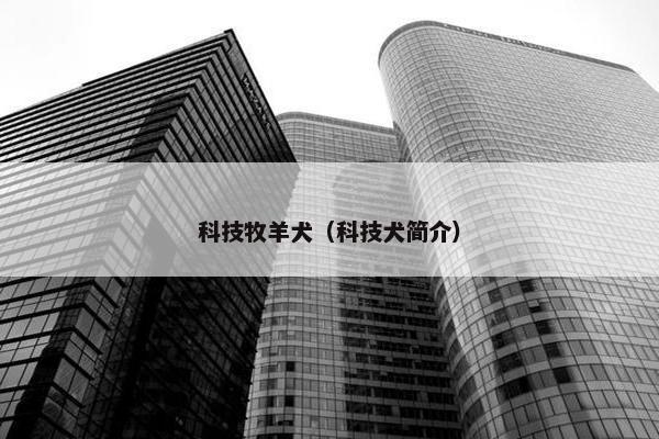 科技牧羊犬（科技犬简介）
