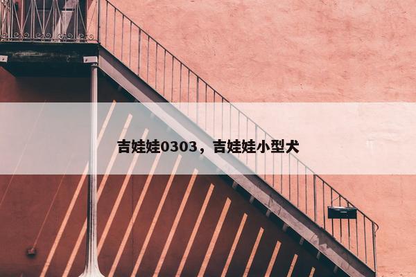 吉娃娃0303，吉娃娃小型犬