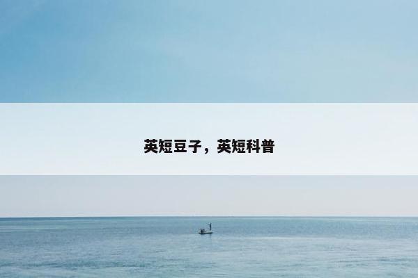 英短豆子，英短科普