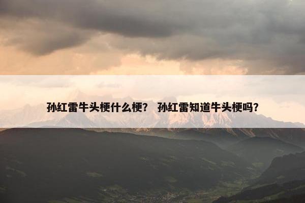 孙红雷牛头梗什么梗？ 孙红雷知道牛头梗吗？