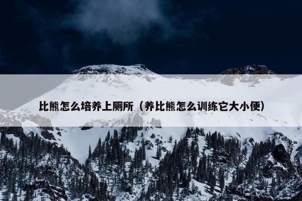 比熊怎么培养上厕所（养比熊怎么训练它大小便）