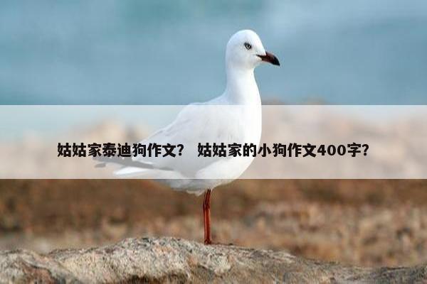 姑姑家泰迪狗作文？ 姑姑家的小狗作文400字？