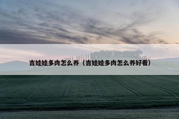 吉娃娃多肉怎么养（吉娃娃多肉怎么养好看）