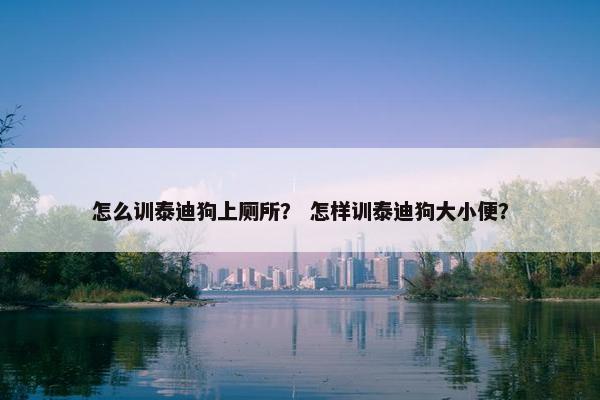 怎么训泰迪狗上厕所？ 怎样训泰迪狗大小便？