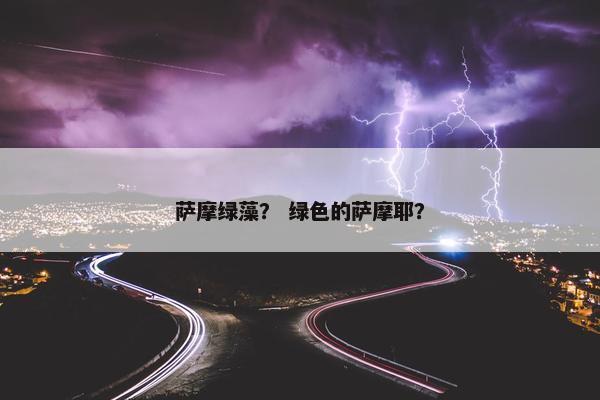 萨摩绿藻？ 绿色的萨摩耶？