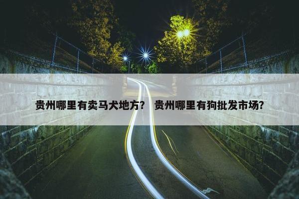 贵州哪里有卖马犬地方？ 贵州哪里有狗批发市场？