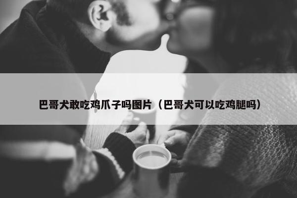 巴哥犬敢吃鸡爪子吗图片（巴哥犬可以吃鸡腿吗）