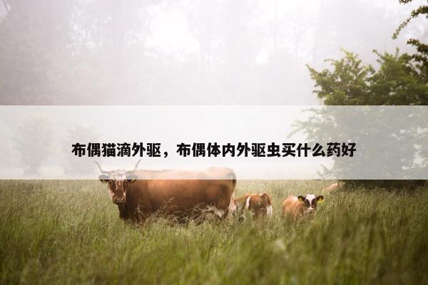 布偶猫滴外驱，布偶体内外驱虫买什么药好