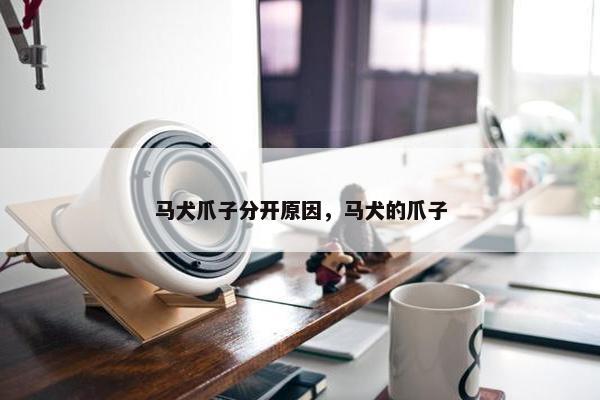 马犬爪子分开原因，马犬的爪子