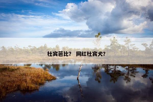 杜宾芭比？ 网红杜宾犬？