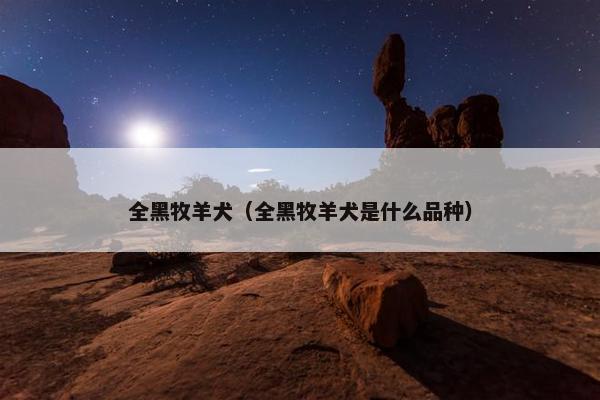 全黑牧羊犬（全黑牧羊犬是什么品种）