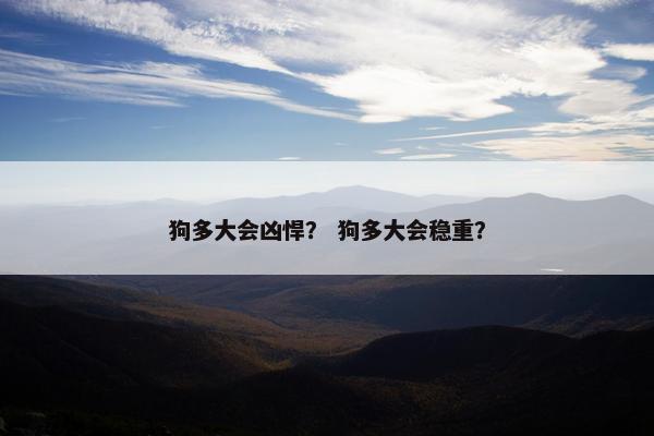 狗多大会凶悍？ 狗多大会稳重？