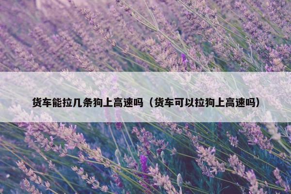 货车能拉几条狗上高速吗（货车可以拉狗上高速吗）