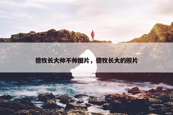 德牧长大帅不帅图片，德牧长大的照片