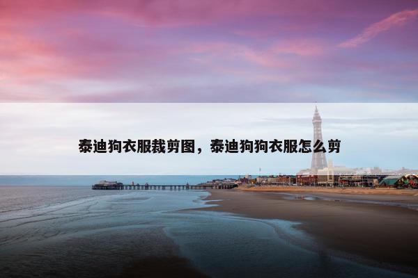 泰迪狗衣服裁剪图，泰迪狗狗衣服怎么剪