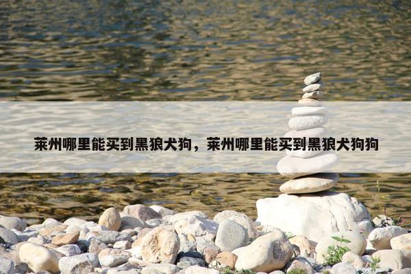 莱州哪里能买到黑狼犬狗，莱州哪里能买到黑狼犬狗狗