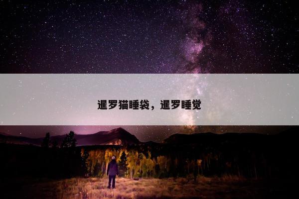 暹罗猫睡袋，暹罗睡觉