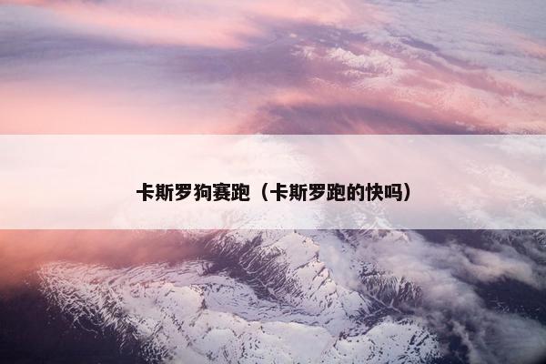 卡斯罗狗赛跑（卡斯罗跑的快吗）