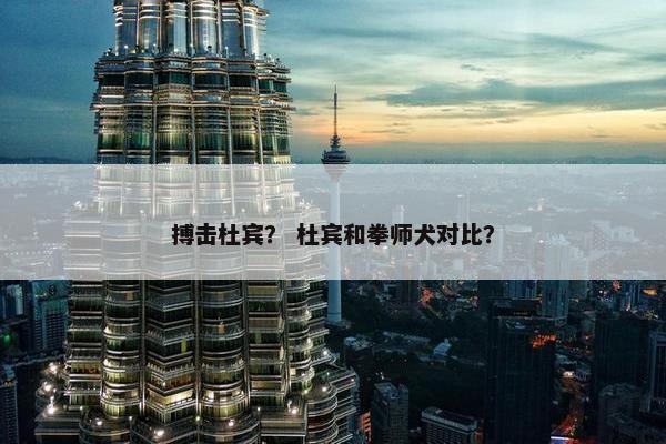 搏击杜宾？ 杜宾和拳师犬对比？
