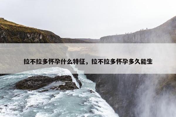 拉不拉多怀孕什么特征，拉不拉多怀孕多久能生